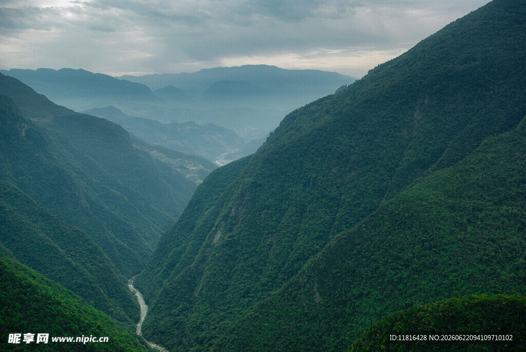 山间峡谷绿意盎然美景