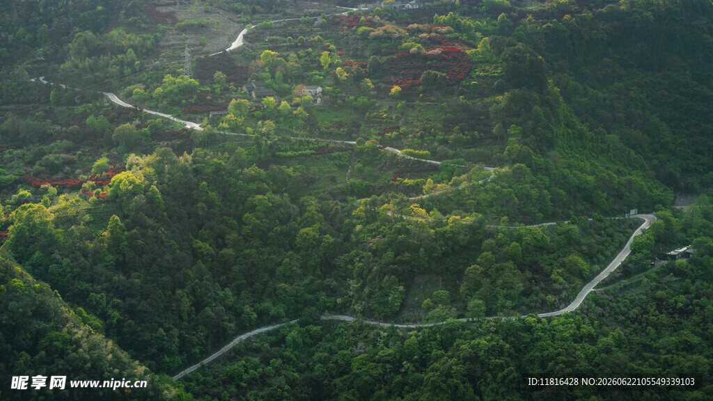 航拍山间蜿蜒公路美景