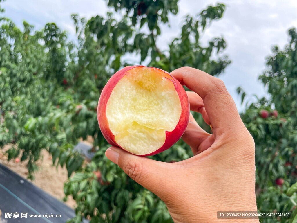 手捧咬过的新鲜红苹果