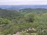 风景