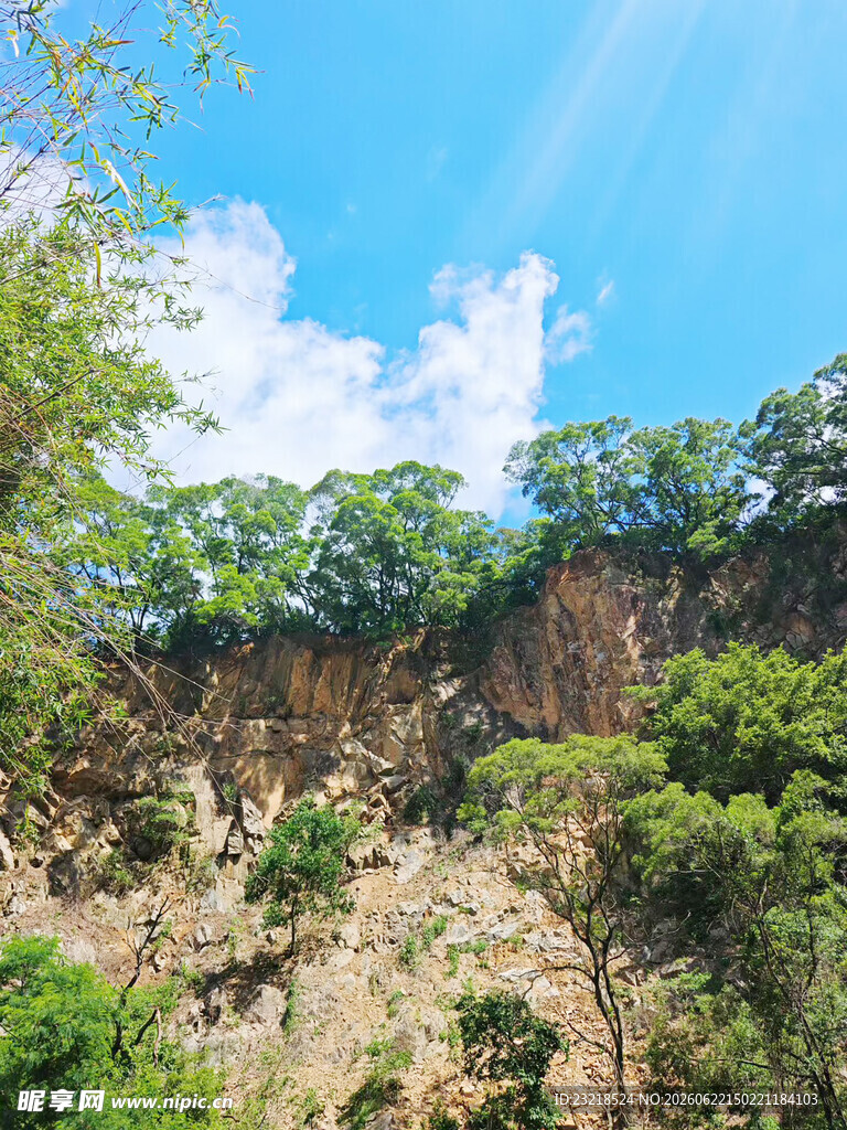 山