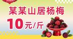 杨梅海报