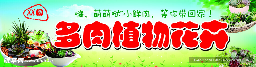 多肉植物花卉展示