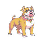 斗牛犬