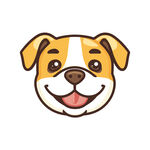 斗牛犬