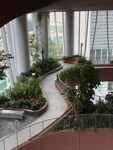 室内蜿蜒绿植步道景观
