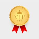 VIP 金色徽章