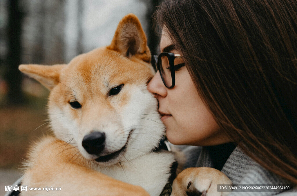 女子亲昵拥抱可爱柴犬