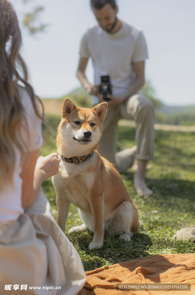 情侣与柴犬的惬意户外时光