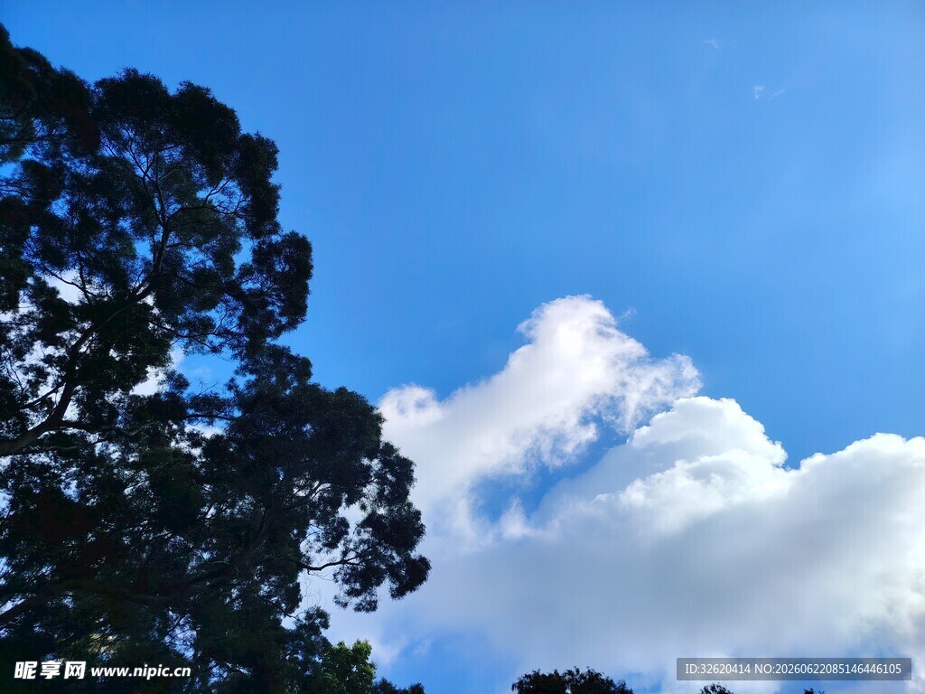 蓝天绿树间的白云美景