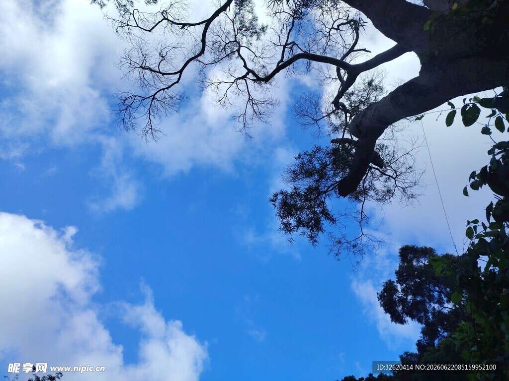 蓝天绿树间的自然景致
