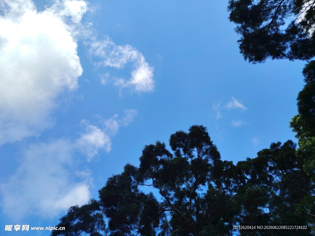 蓝天绿树