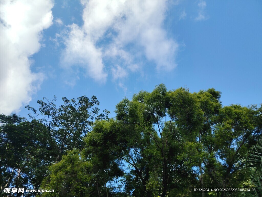 蓝天绿树间的清新景致