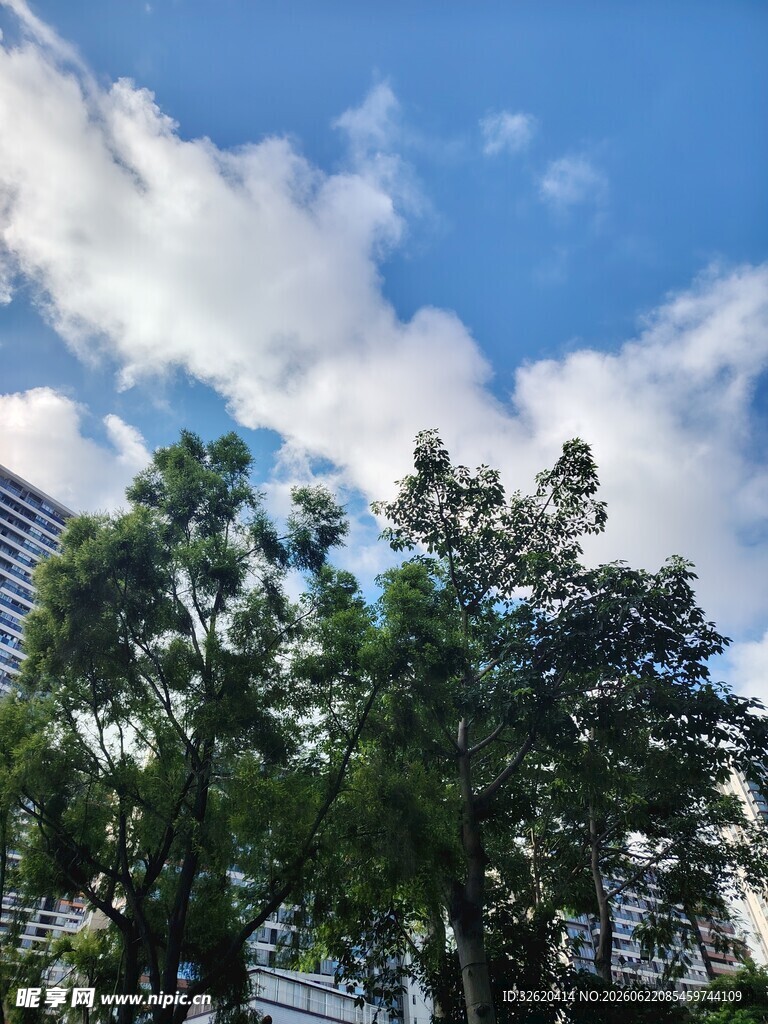 蓝天绿树城市风景