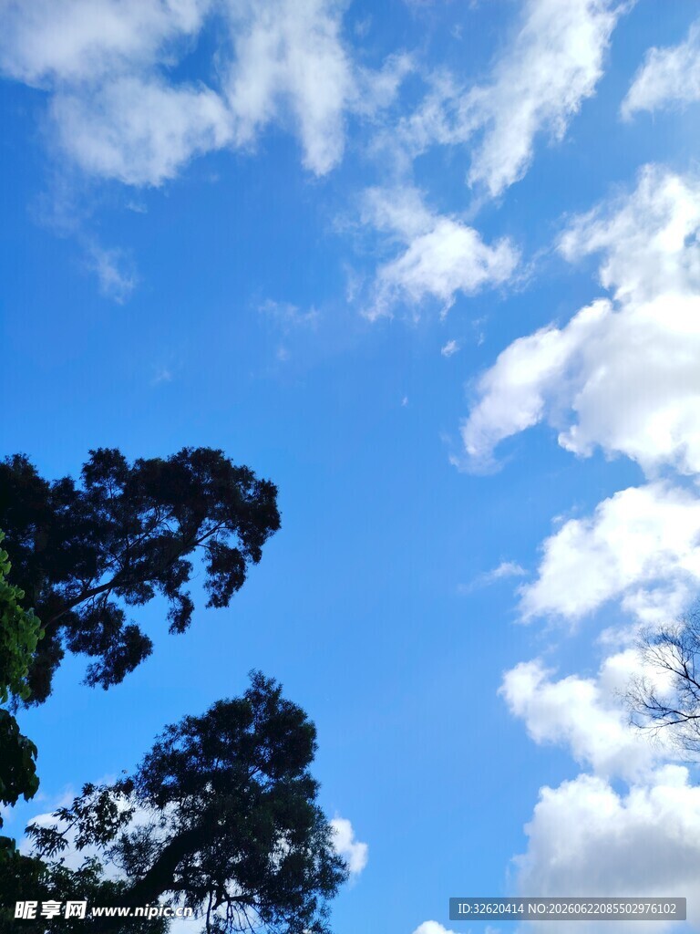 蓝天绿树间的白云美景