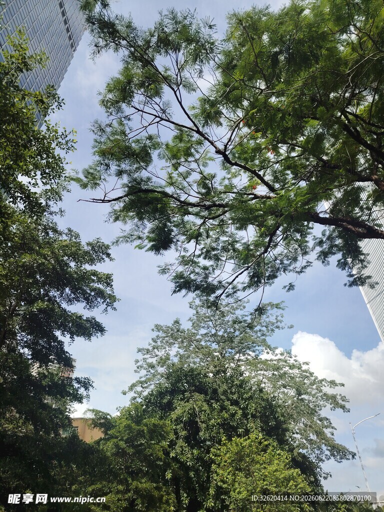 蓝天绿树间的自然景致