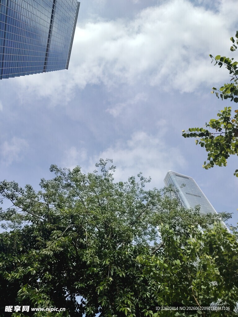 绿树蓝天间的清新景致