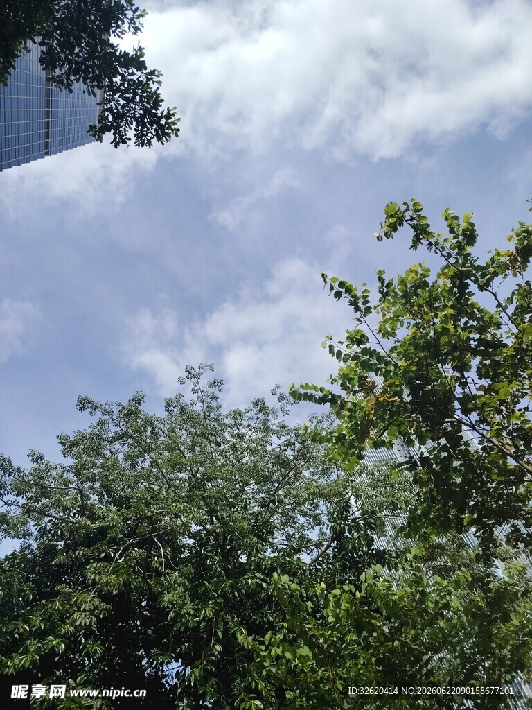 绿树蓝天间的清新景致