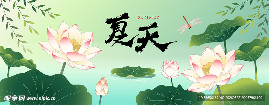 夏日荷塘美景