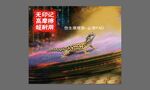 仿生摩擦垫