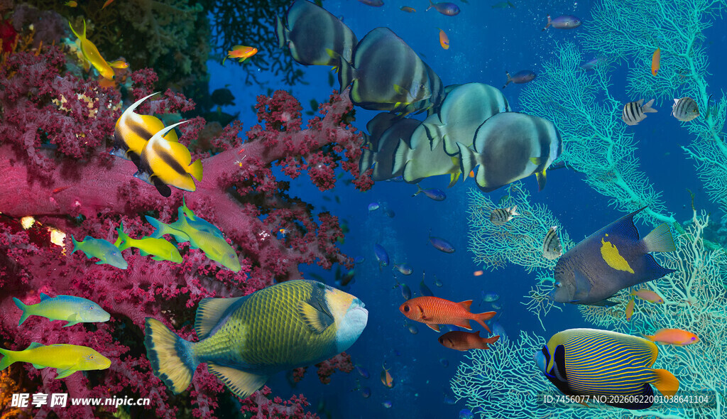 海底缤纷鱼群与珊瑚景观
