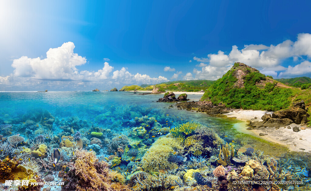 美丽海岛清澈海域风光