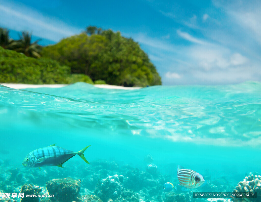 海底与海岛的梦幻景象