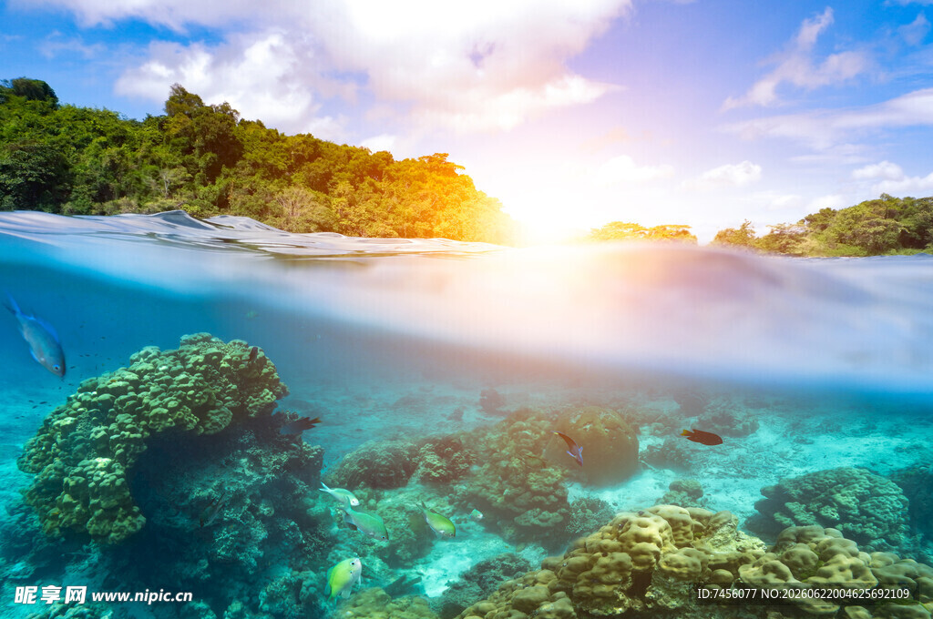 海底珊瑚与海面日出美景