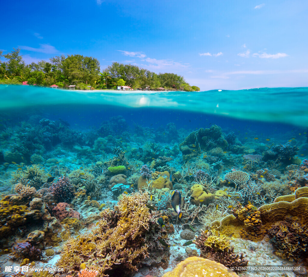 海底珊瑚与海面美景