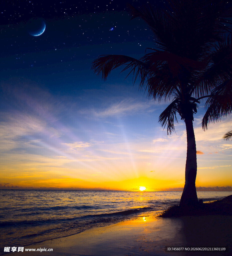 海边日落时的椰树美景