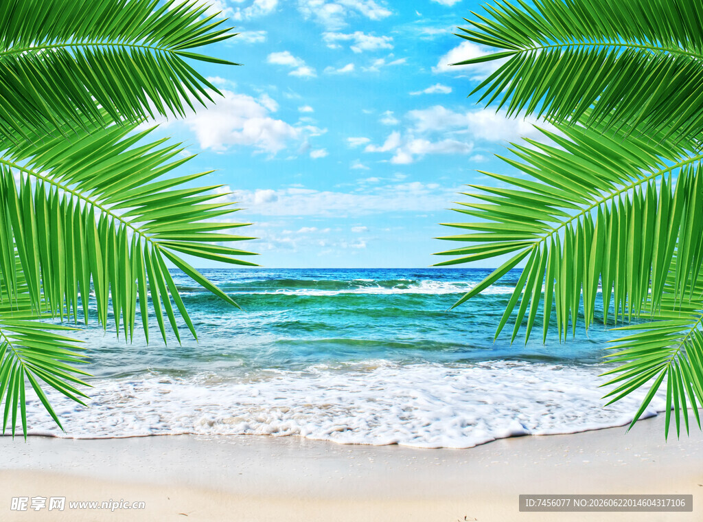 夏日海滩椰影摇曳海景图