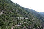 瞿塘峡 山间蜿蜒公路与葱郁植被