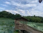 荷屋