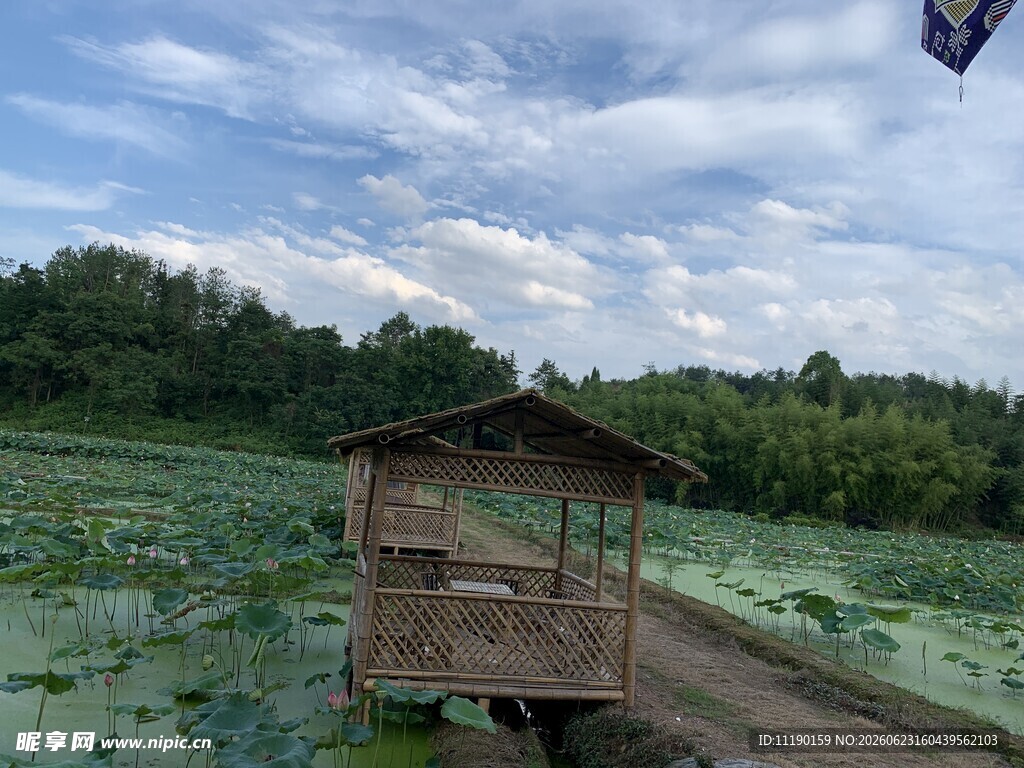 荷屋
