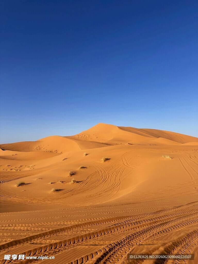 广袤沙漠风光