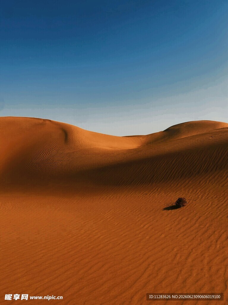 广袤沙漠中的孤独景象