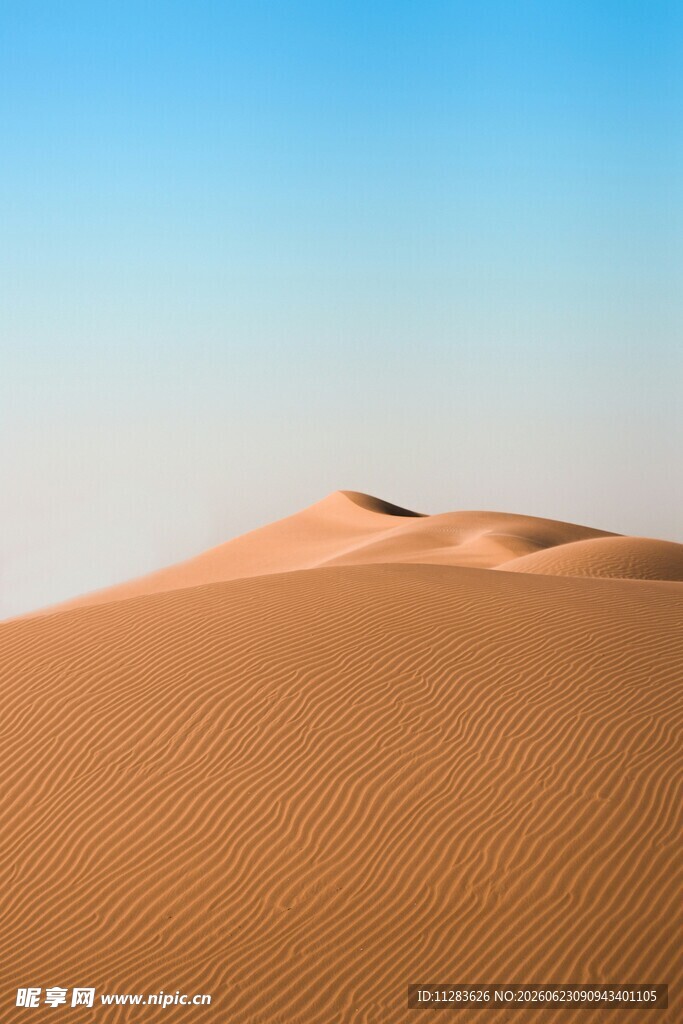 广袤沙漠景观