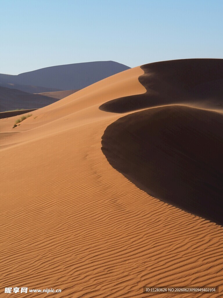 壮丽沙漠沙丘景观