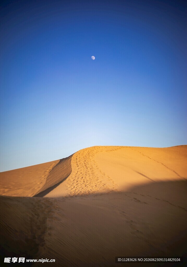 沙漠月夜美景