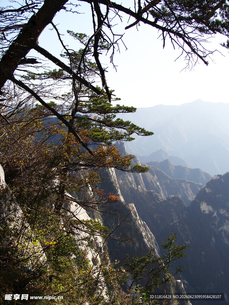 山间松景远眺朦胧山峦