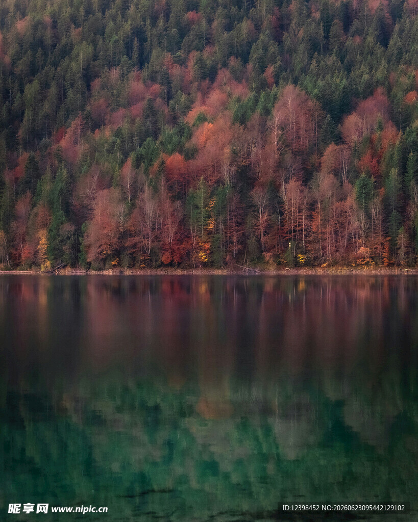 秋日山林旁的静谧湖水
