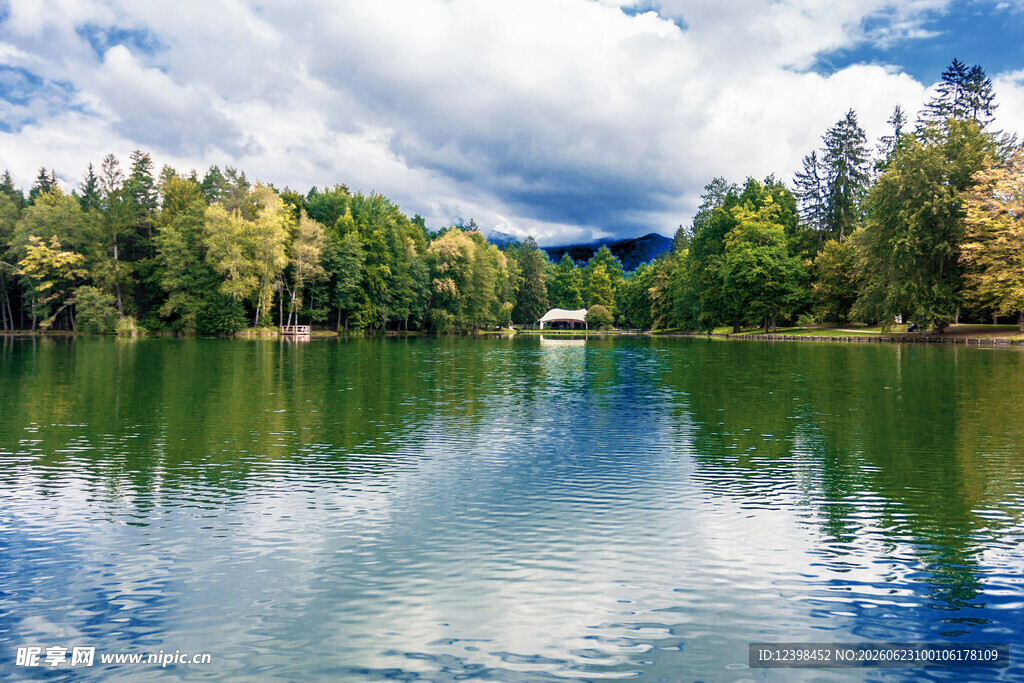 宁静湖畔森林美景