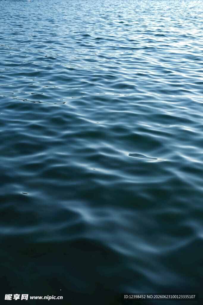 平静湖面的粼粼水波