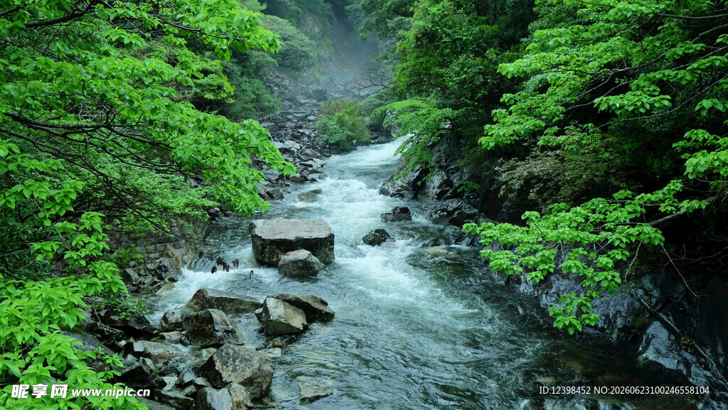 山间溪流穿翠林
