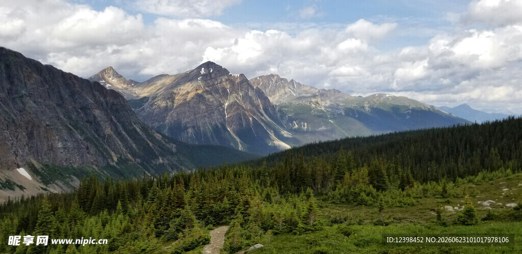 壮丽山景与葱郁森林