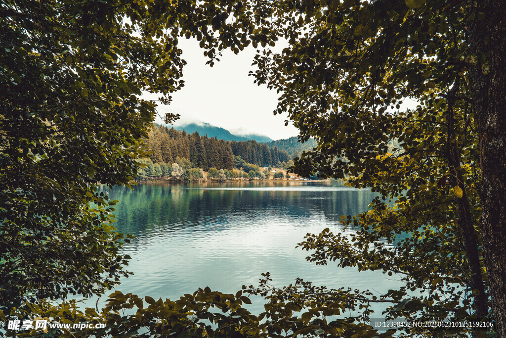 林间湖畔美景