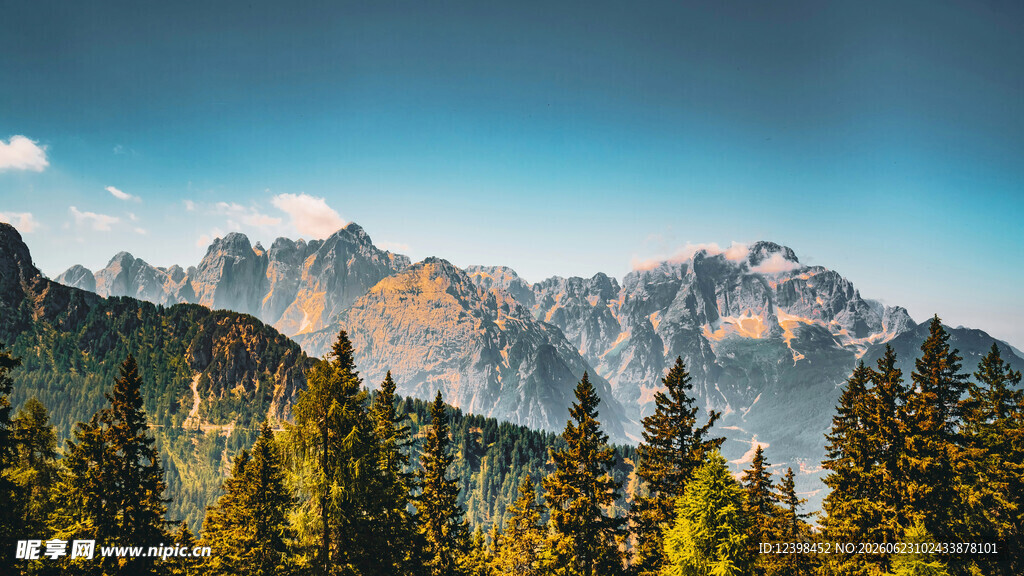 壮丽山景与葱郁森林