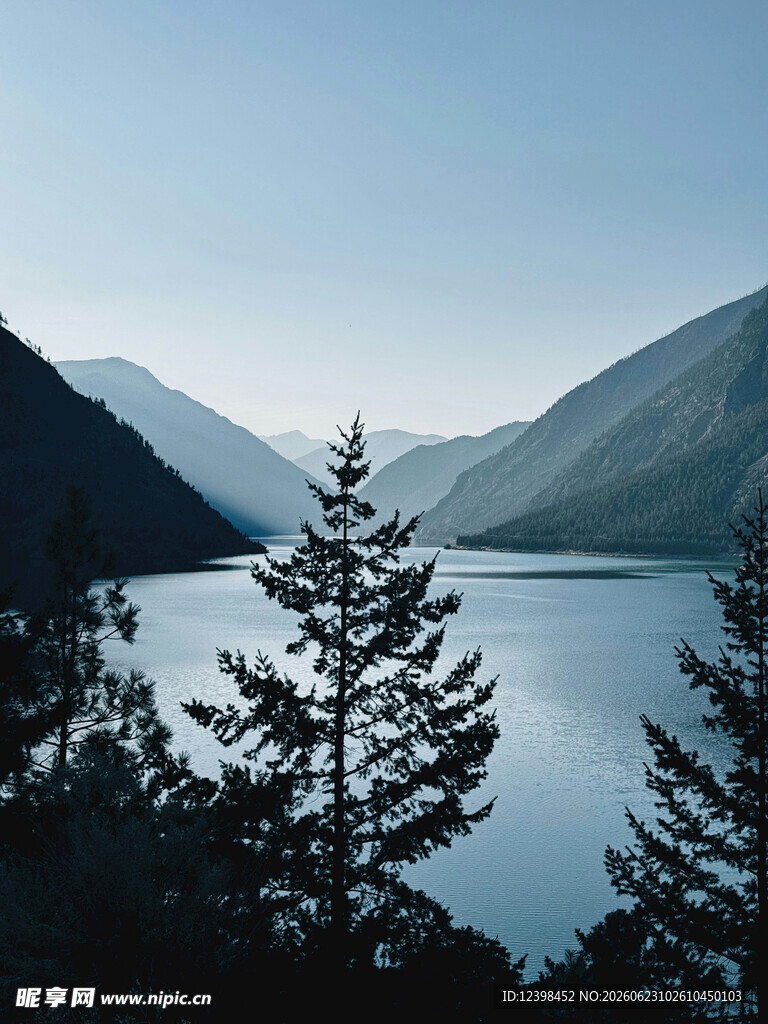 宁静山水间的冷杉树景