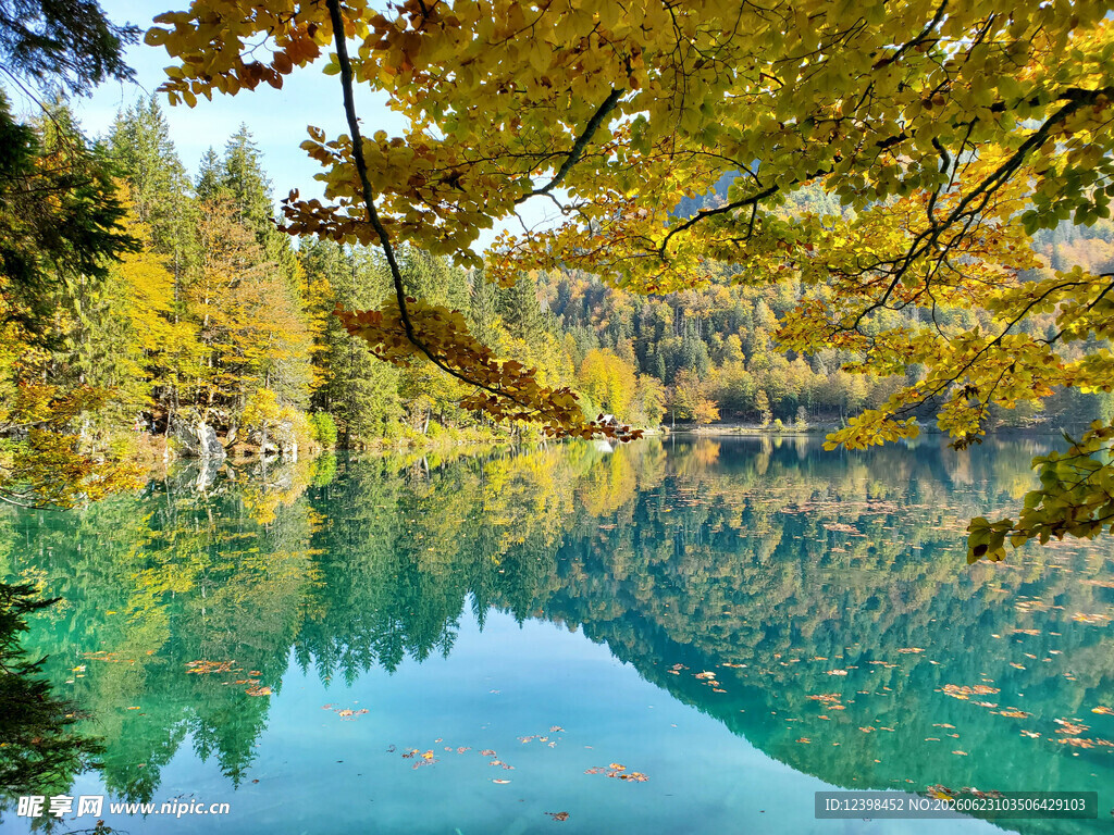 秋日山林中的静谧湖水