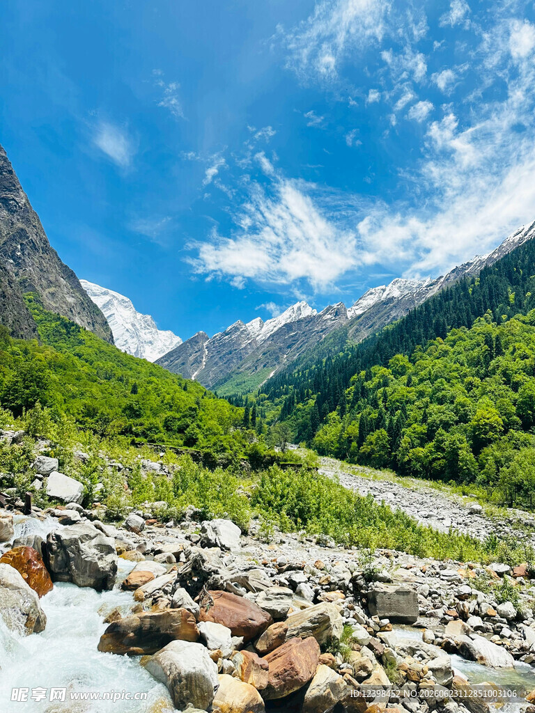 山间溪流美景